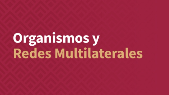 Organismos y Redes Multilaterales